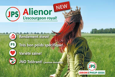 Jorion FR